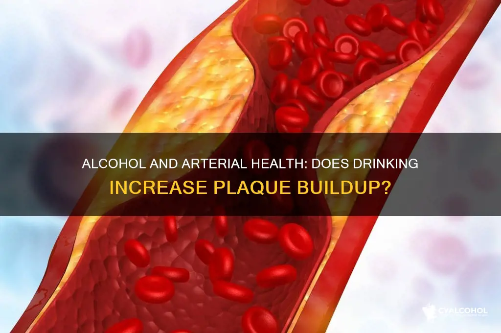 does alcohol increase plaque in arteries