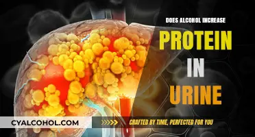 Alcohol and Proteinuria: Uncovering the Link Between Drinking and Urine Protein