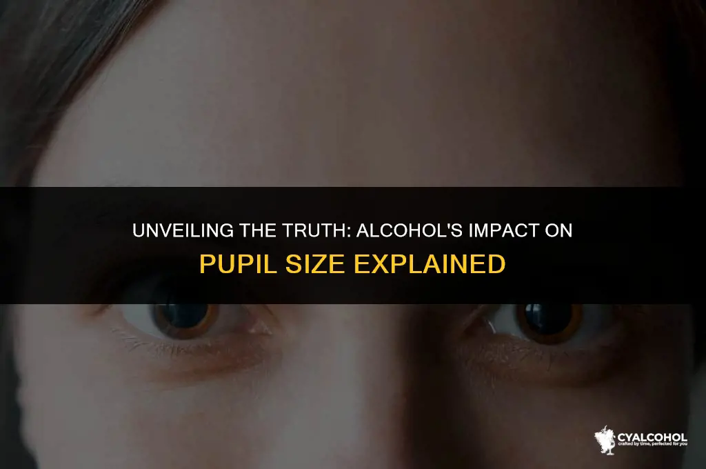 does alcohol increase pupil size