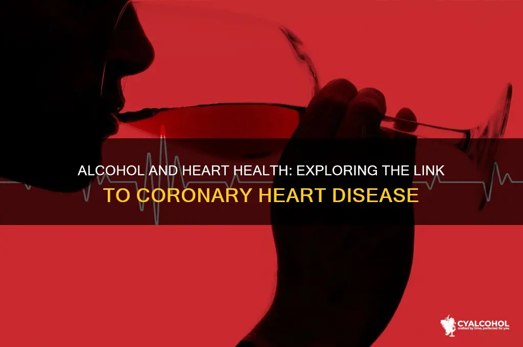 does alcohol increase risk for chd