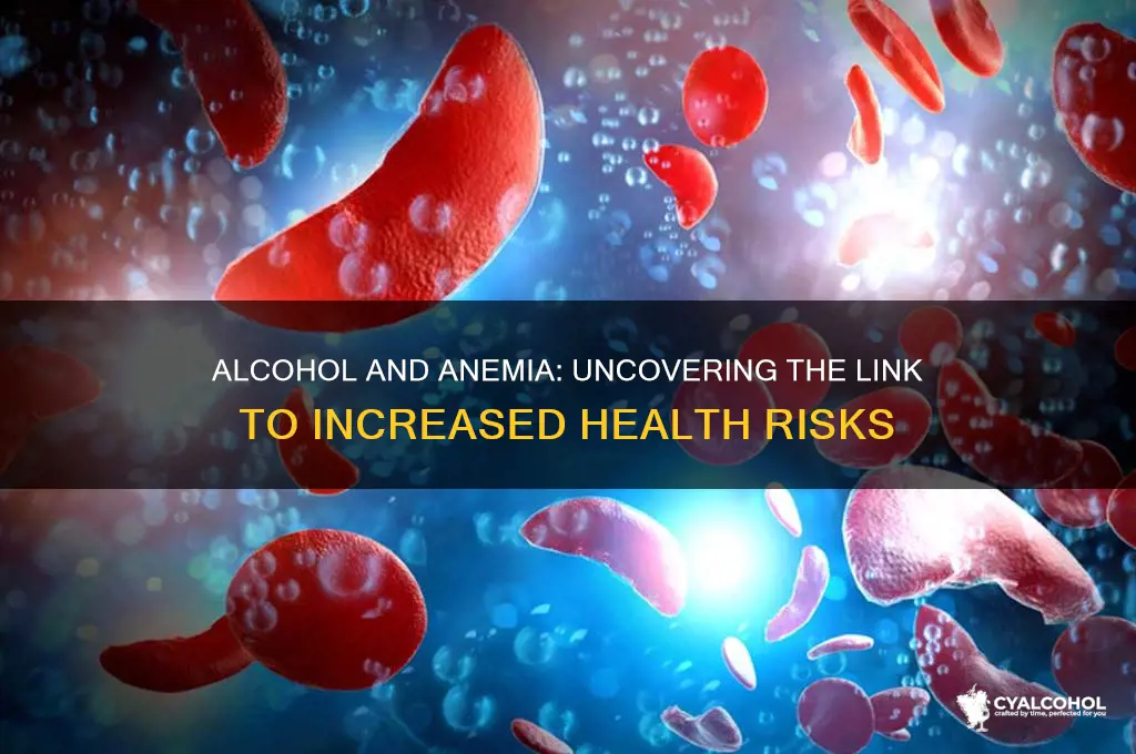 does alcohol increase risk of anemia