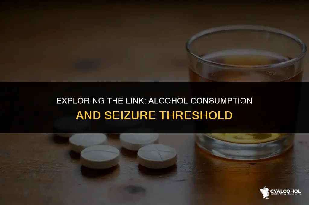 does alcohol increase seizure threshold