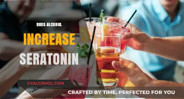 Alcohol and Serotonin: Unraveling the Complex Relationship and Its Effects