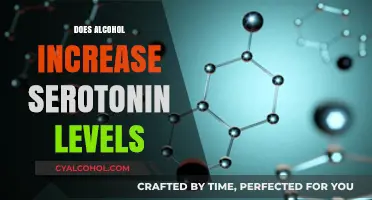 Exploring the Link: Alcohol's Impact on Serotonin Levels