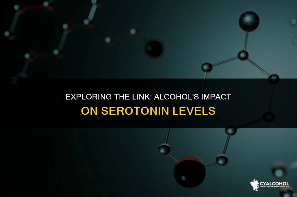 does alcohol increase serotonin levels