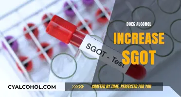 Alcohol and SGOT: Understanding the Link to Liver Enzyme Levels