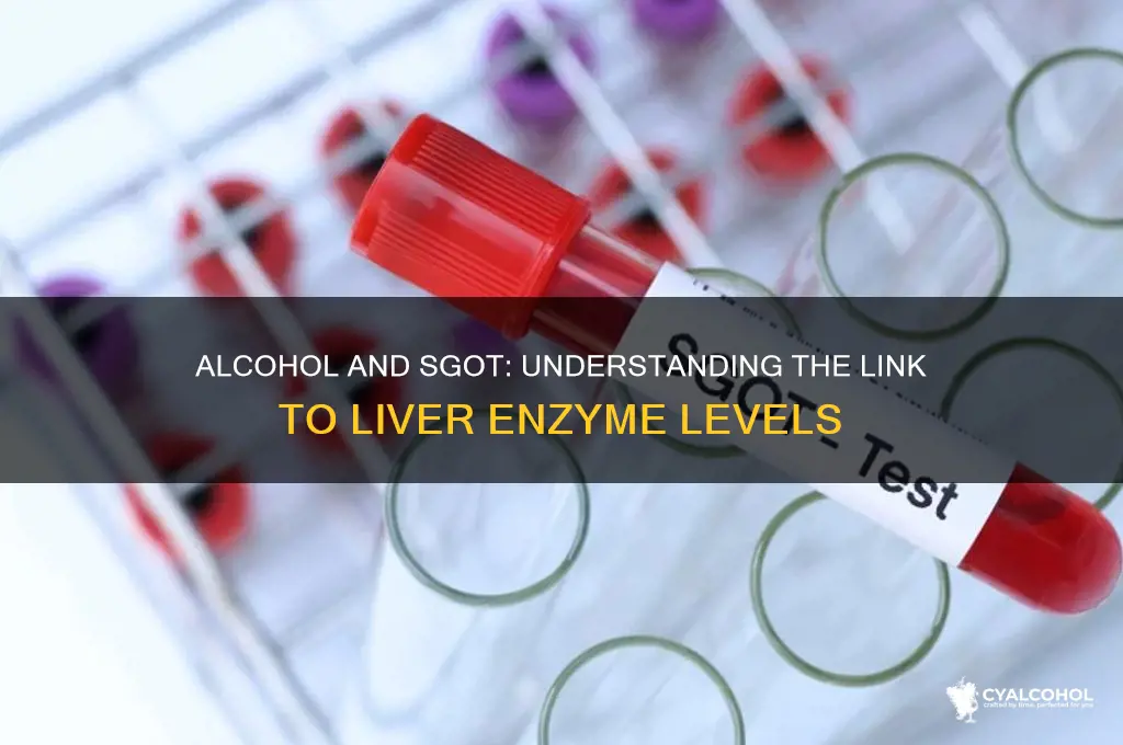 does alcohol increase sgot