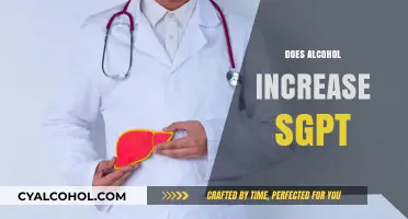 Alcohol and SGPT: Understanding the Impact on Liver Enzyme Levels