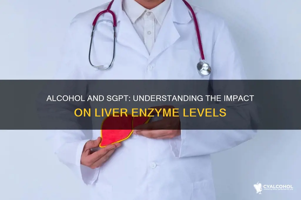 does alcohol increase sgpt