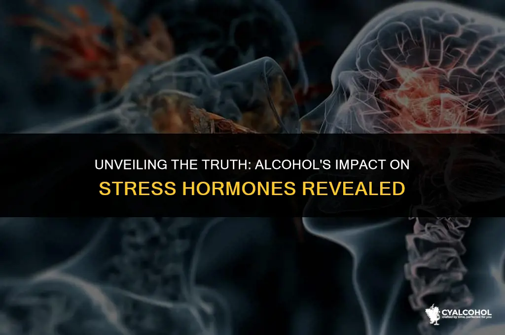 does alcohol increase stress hormones