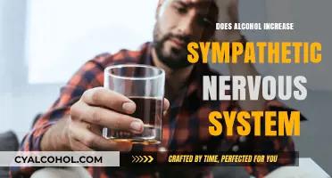 Alcohol's Impact on Sympathetic Nervous System Activity: Unraveling the Connection