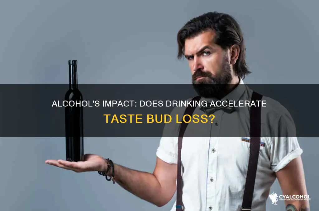 does alcohol increase taste bud loss