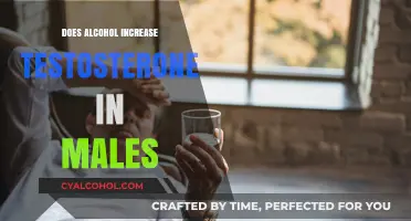 Alcohol and Testosterone: Unraveling the Myth in Males