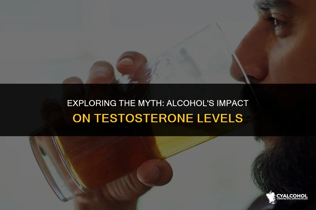 does alcohol increase testosterone levels