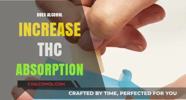 Exploring the Effects: Does Alcohol Enhance THC Absorption?