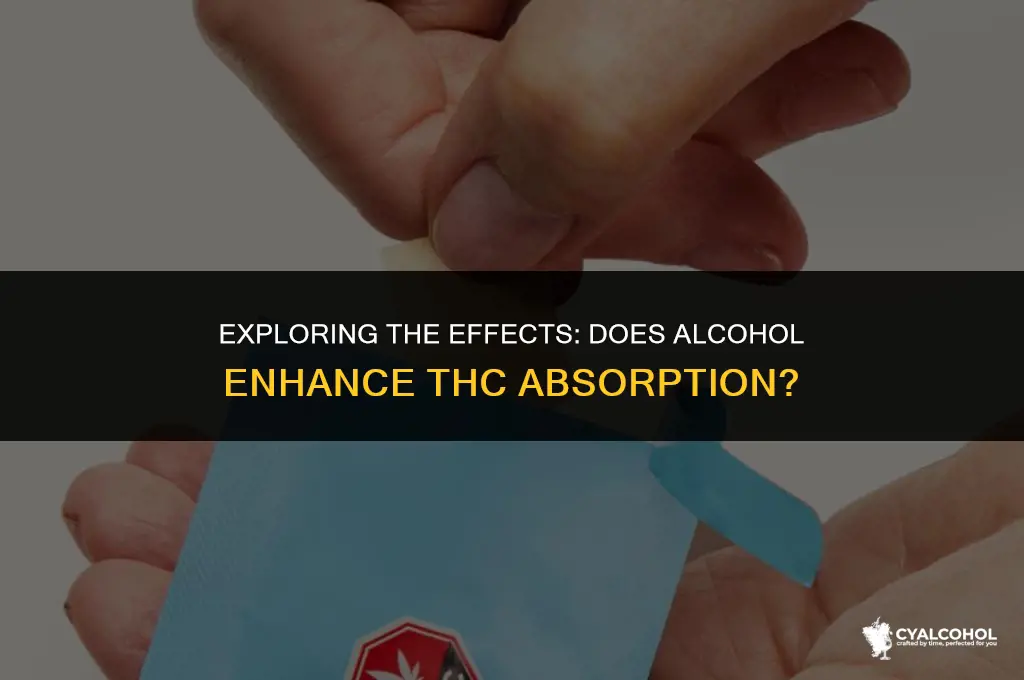 does alcohol increase thc absorption