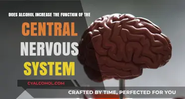 Alcohol's Impact: Central Nervous System Function Explored