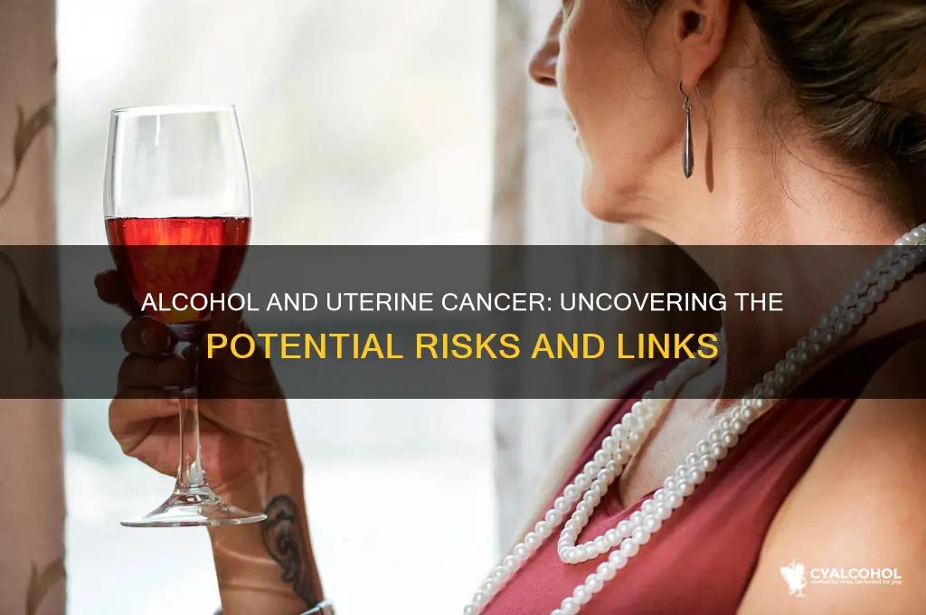 does alcohol increase the risk of uterine cancer