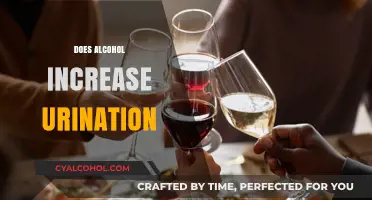 Alcohol and Urination: Understanding the Diuretic Effect on Your Bladder