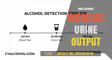 Exploring the Effects of Alcohol on Urine Production