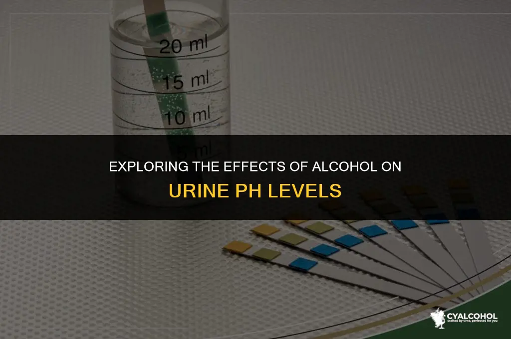 does alcohol increase urine ph