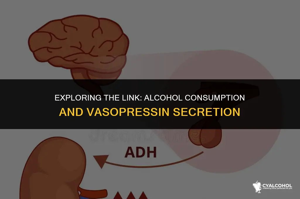 does alcohol increase vasopressin secretion
