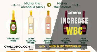 Alcohol's Impact on White Blood Cells: Does Drinking Boost WBC Count?