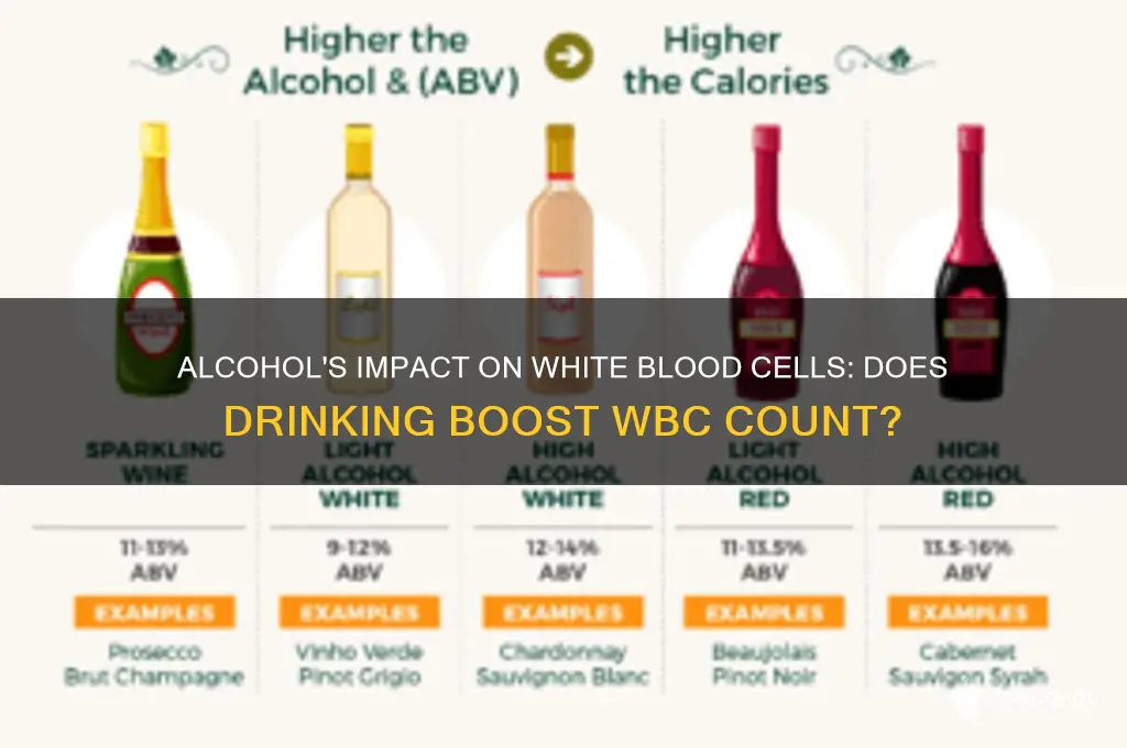does alcohol increase wbc