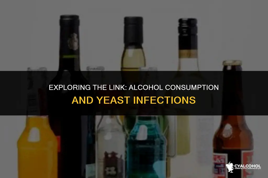does alcohol increase yeast infections