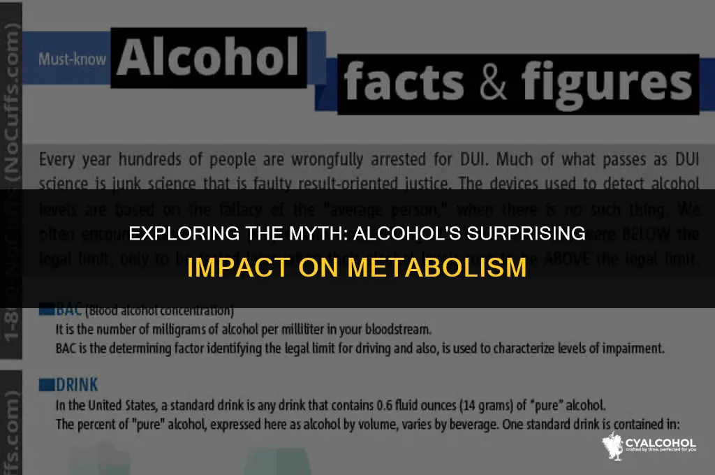 does alcohol increase your metabolism