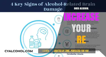 Exploring the Effects of Alcohol on Cognitive Function
