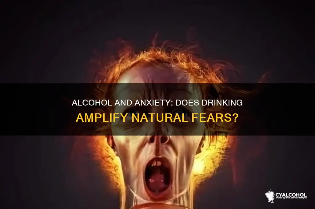 does alcohol increases drinkers natural fears