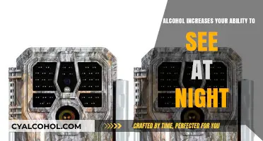 Alcohol and Night Vision: A Dangerous Myth
