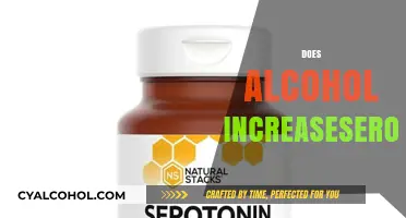 Alcohol and Serotonin: Unraveling the Complex Link to Mood Changes