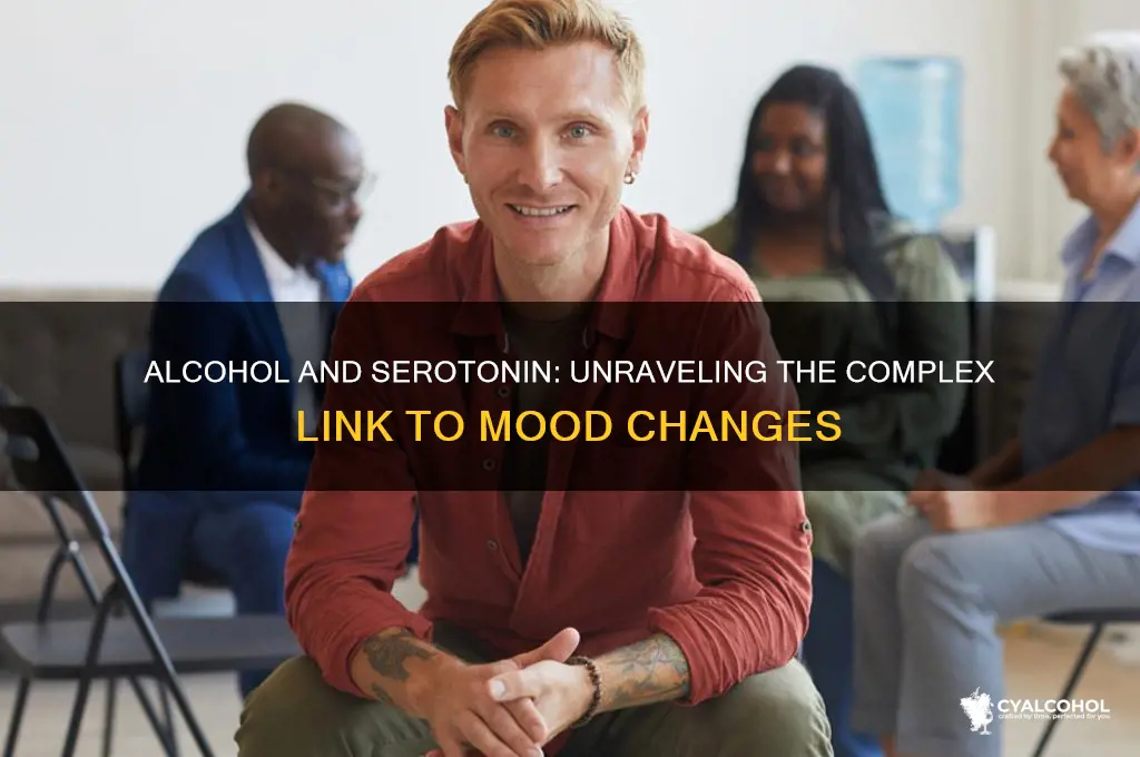does alcohol increaseserotonin