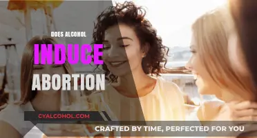 Alcohol and Abortion: Separating Myths from Medical Facts and Risks
