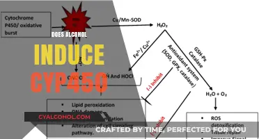 Alcohol's Impact on CYP450 Enzymes: Induction and Metabolic Effects Explained