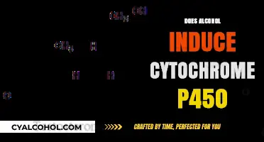 Exploring the Link: Alcohol Consumption and Cytochrome P450 Induction
