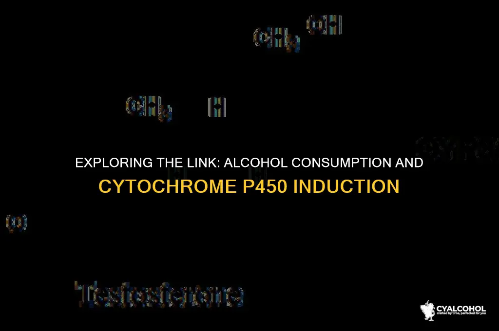 does alcohol induce cytochrome p450