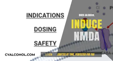 Alcohol's Impact on NMDA Receptors: Unraveling the Neurochemical Connection