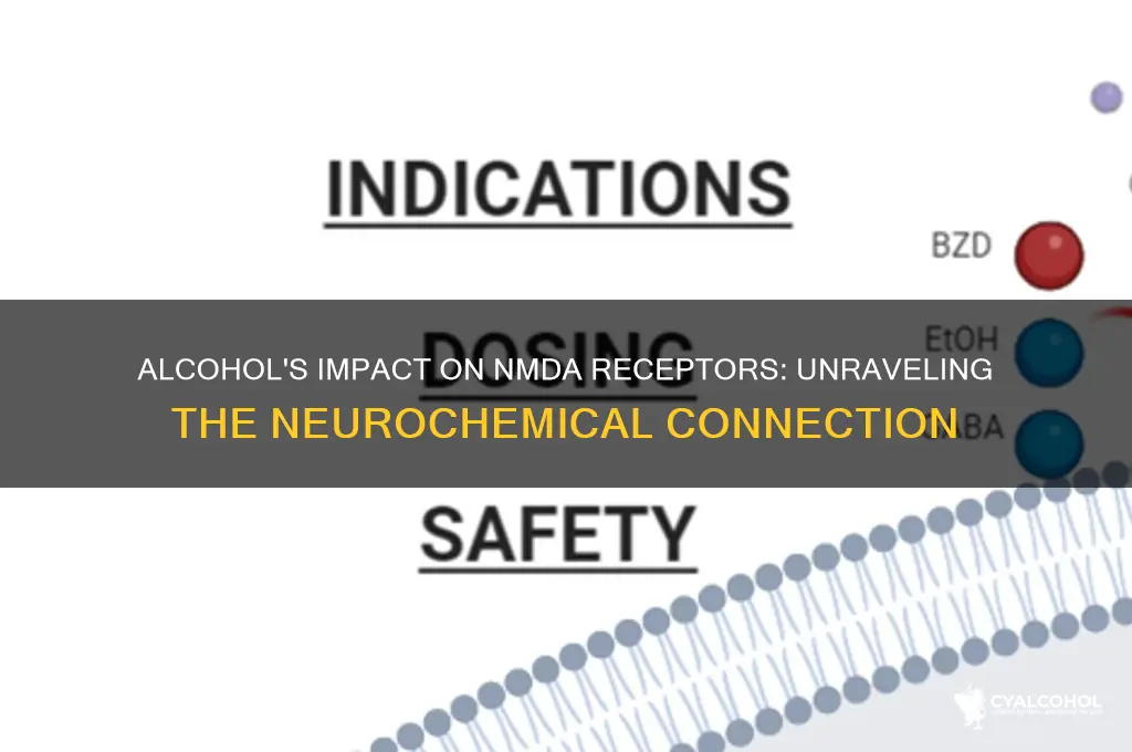does alcohol induce nmda