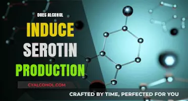 Exploring the Link: Alcohol Consumption and Serotonin Production