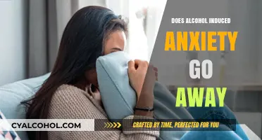 Alcohol-Induced Anxiety: Can Symptoms Disappear Over Time?