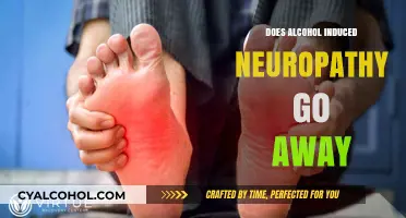 Can Alcohol-Induced Neuropathy Be Reversed? Understanding Recovery and Treatment