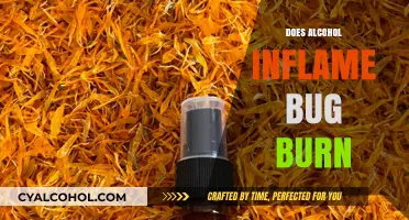 Unveiling the Truth: Alcohol's Surprising Effect on Bug Bites