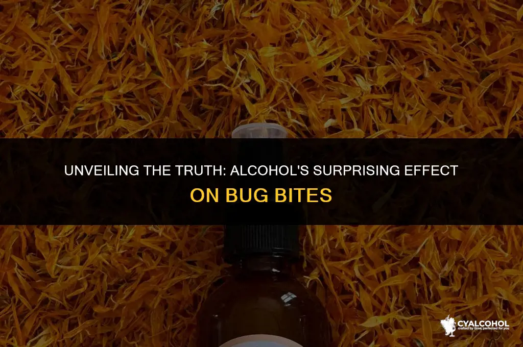 does alcohol inflame bug burn