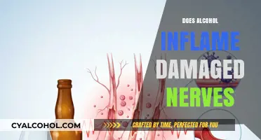 Exploring the Effects: Does Alcohol Inflame Damaged Nerves?