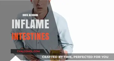 Alcohol and Gut Health: Does Drinking Inflame Your Intestines?