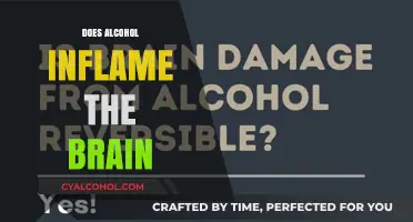 Unveiling the Truth: Alcohol's Impact on Brain Health Explored