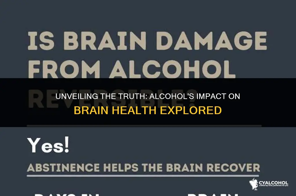 does alcohol inflame the brain